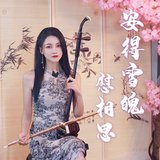 安得雪魄慰相思