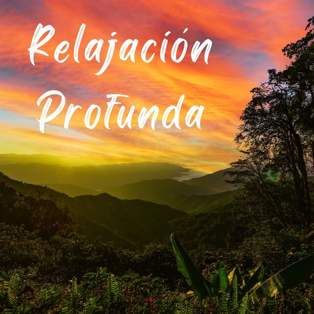 Relajación Profunda: Música Calmante para Reducir Estrés y Ansiedad, Sonidos de la Naturaleza y Meditación
