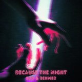 Because the Night