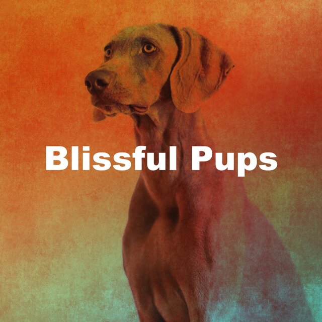 Blissful Pups