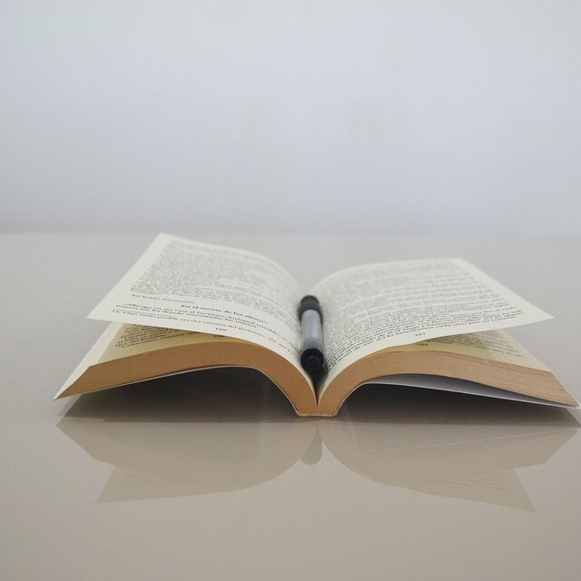 Preface