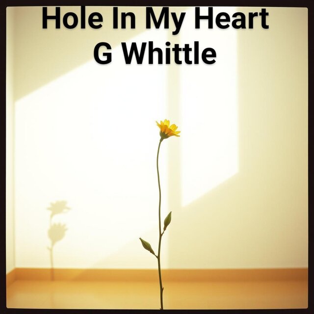 Hole In My Heart