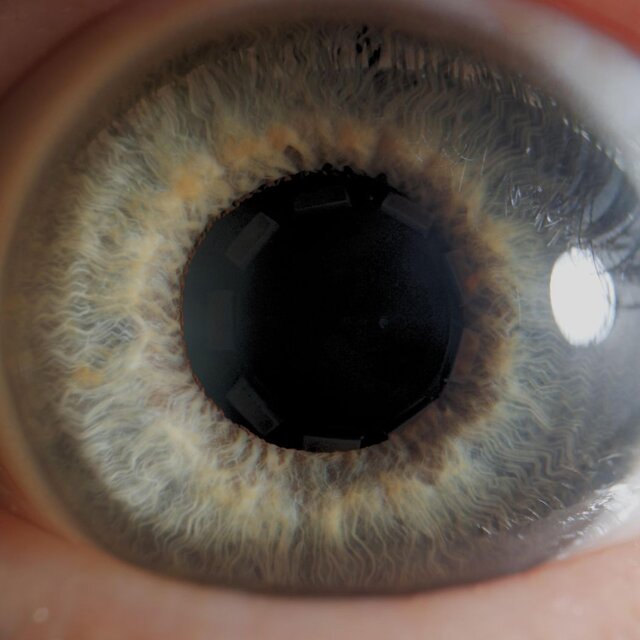 Cover art for album  by Domikornossi