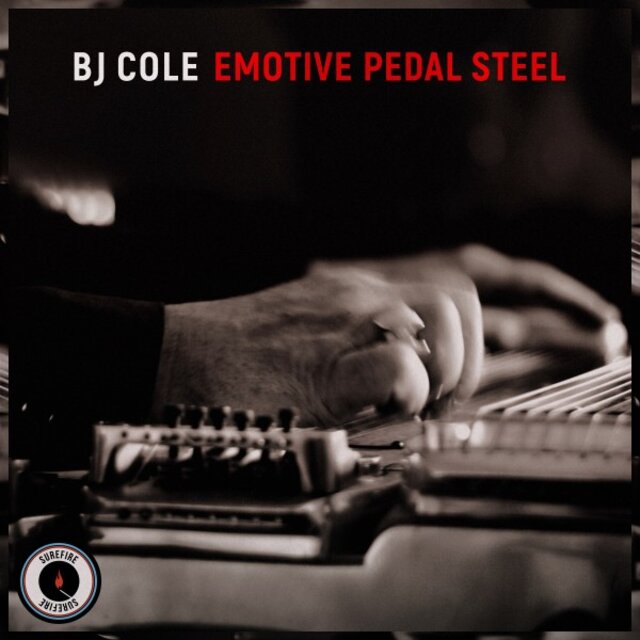 Emotive Pedal Steel