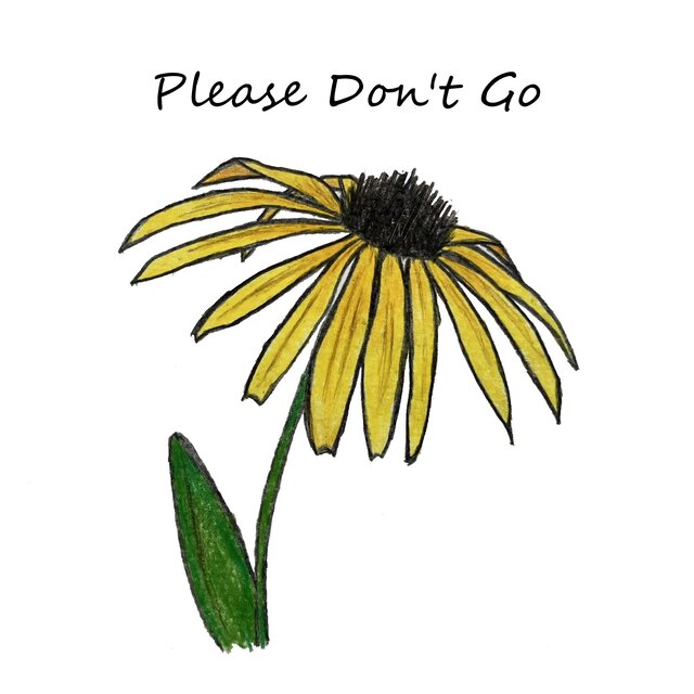 Please Don't Go