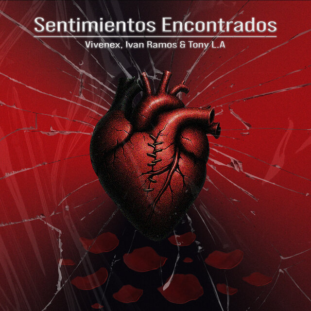 Sentimientos Encontrados