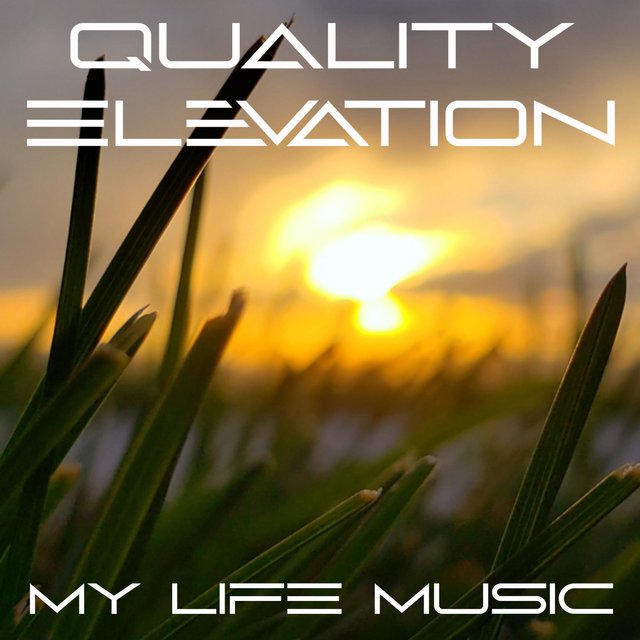 Quality Elevation