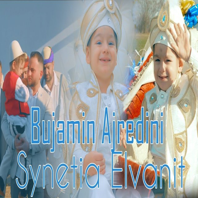 Synetia Elvanit