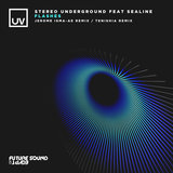 Flashes (Jerome Isma-Ae Extended Remix)