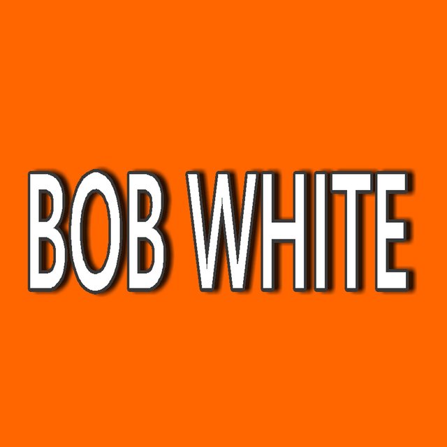 Bob White