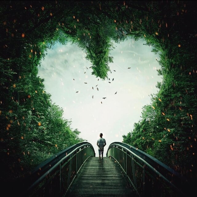 Follow You