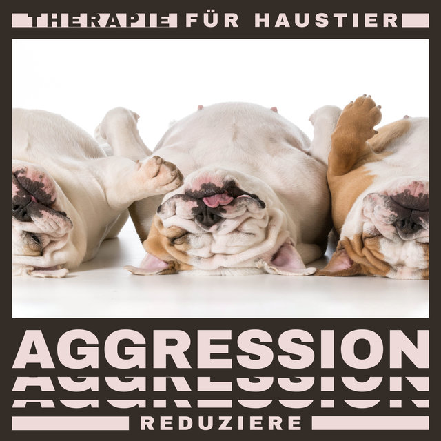 Therapie für Haustier (Aggression reduziere)