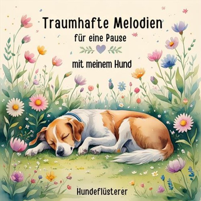 Traumhafte Melodien für eine Pause mit meinem Hund