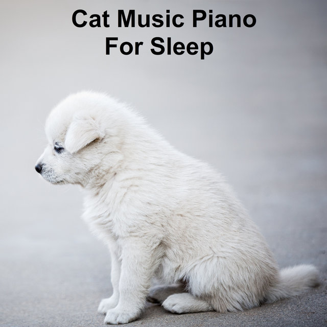 Cat Music Piano For Sleep