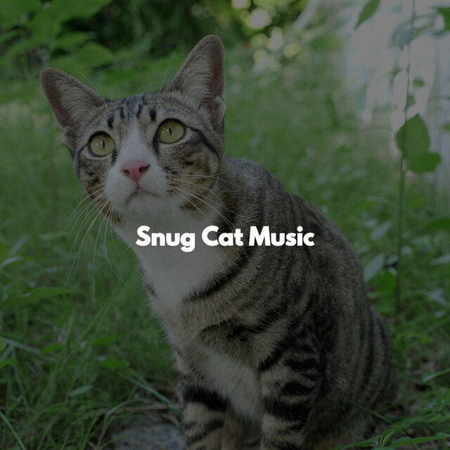 Snug Cat Music