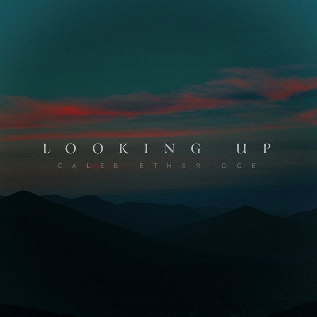 Looking Up