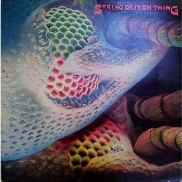 String Driven Thing on TIDAL