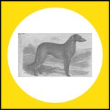 Phaethon