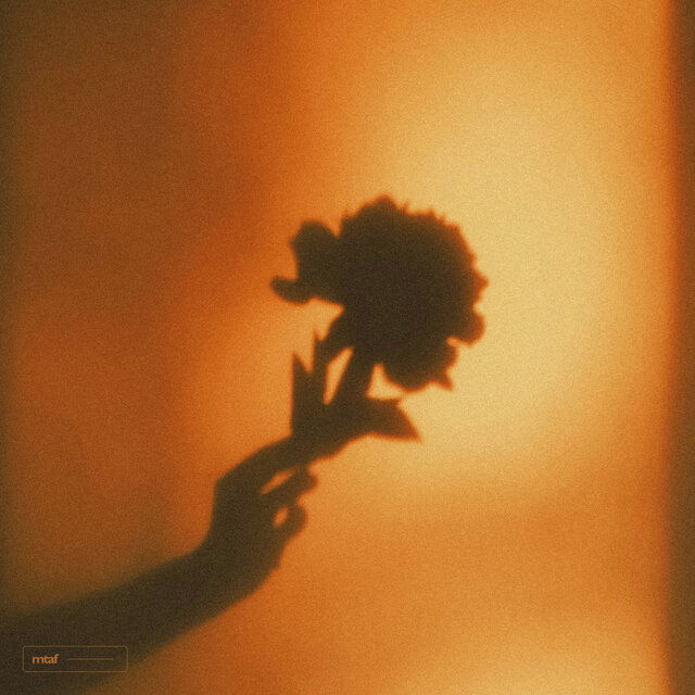 Cover art for album  by Dominik Link