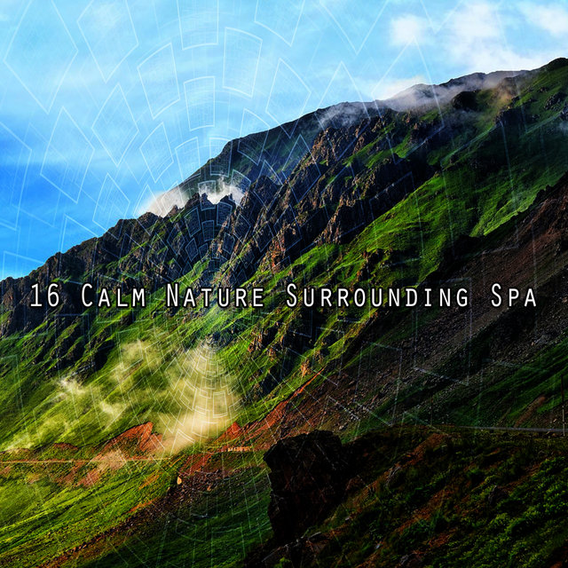 16 Calm Nature Surrounding Spa