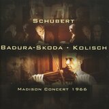Fantasy in C Major, Op. 159, D. 934: I. Andante molto