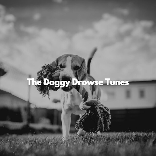 The Doggy Drowse Tunes