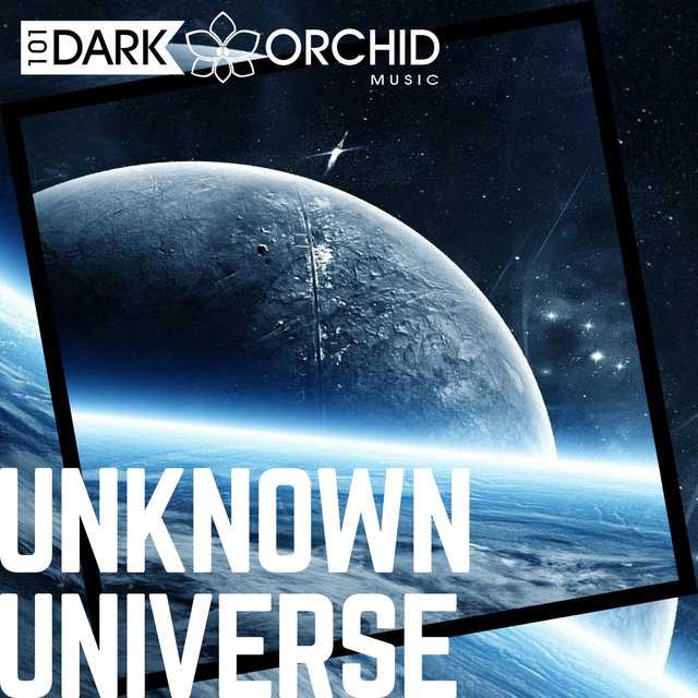 Unknown Universe