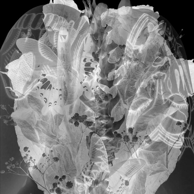 NEUROTICA