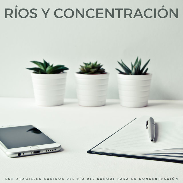 Ríos Y Concentración: Los Apacibles Sonidos Del Río Del Bosque Para La Concentración