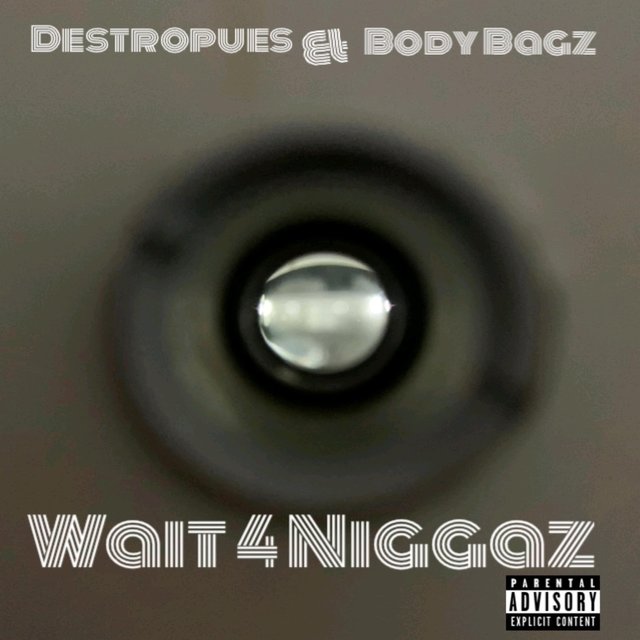 Wait 4 Niggaz