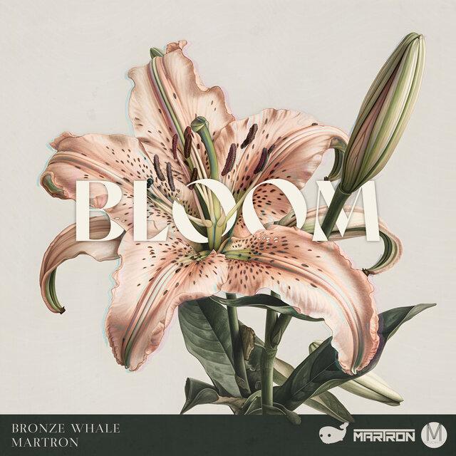 Bloom