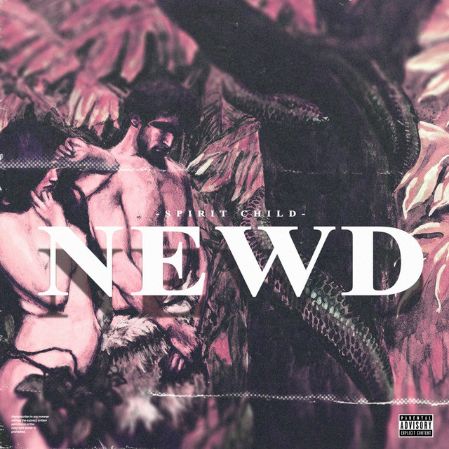 Cover art for album NEWD by Sensei Feng Xhui