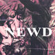 Cover art for album NEWD by Sensei Feng Xhui