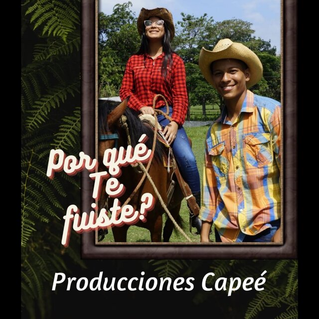 ¿Por Qué Te Fuiste?