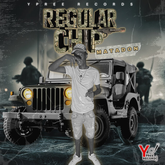 Regular Chip