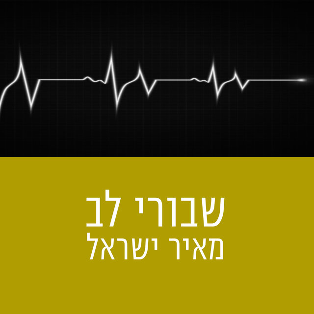 שבורי לב (Cover version)