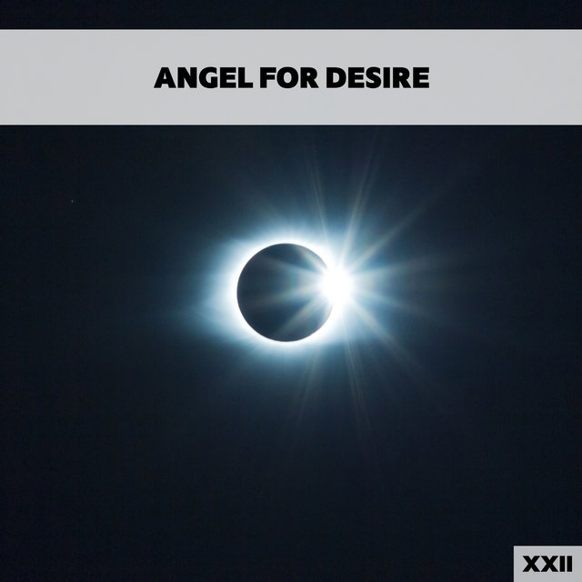 Angel For Desire XXII