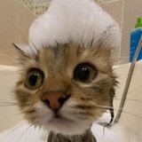 Stinky Little Baby