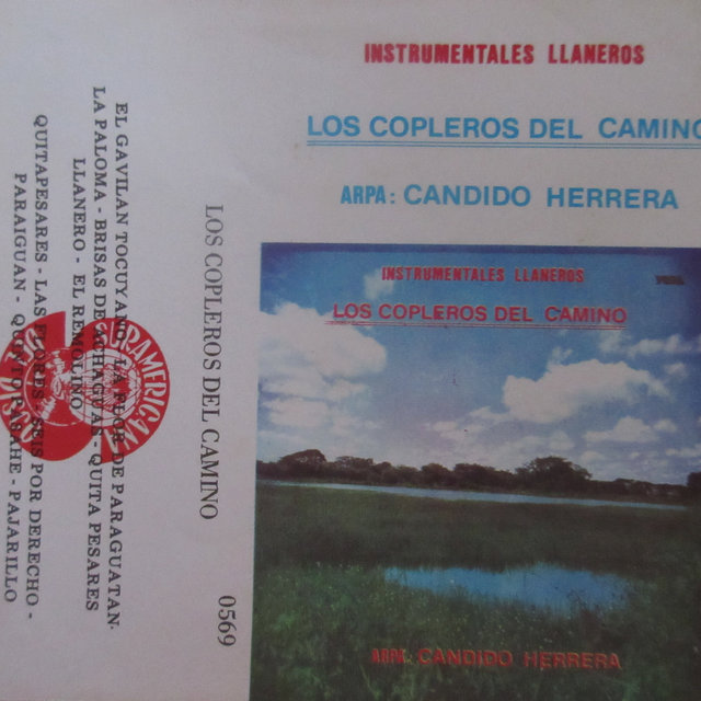 Llanerisimas, Vol. 3
