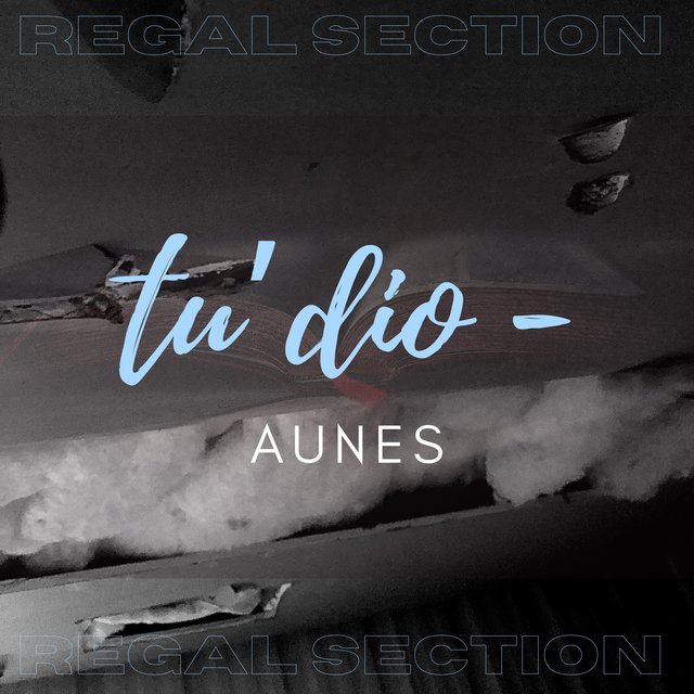 Tu’dio AUNES