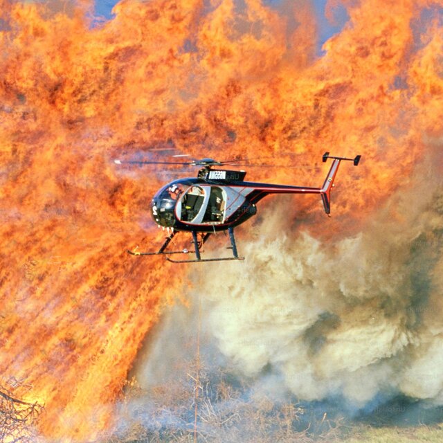forest fire!