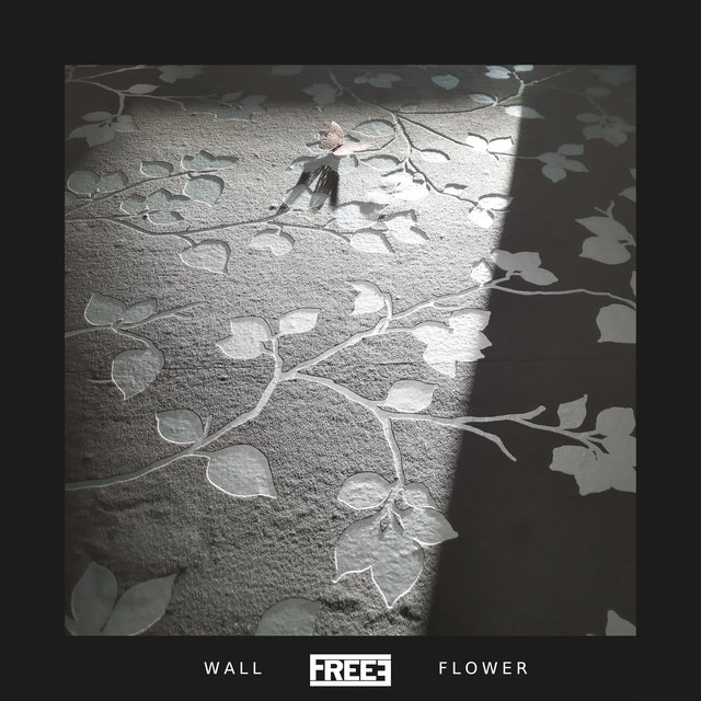 Wall Flower