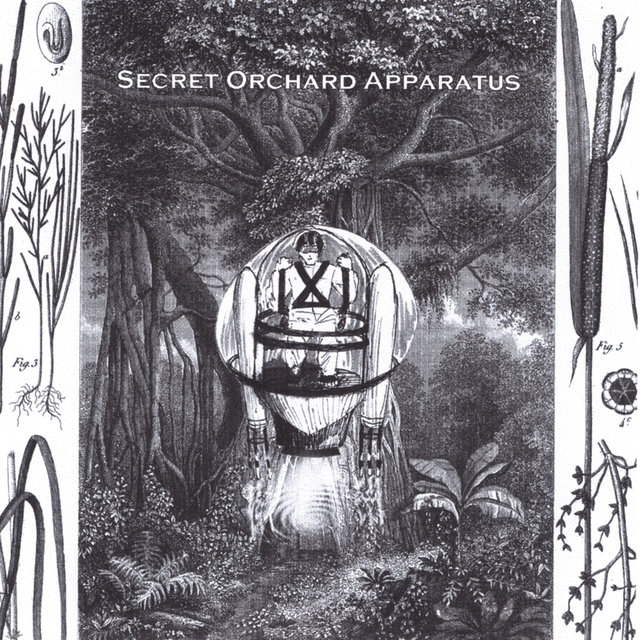 Secret Orchard Apparatus