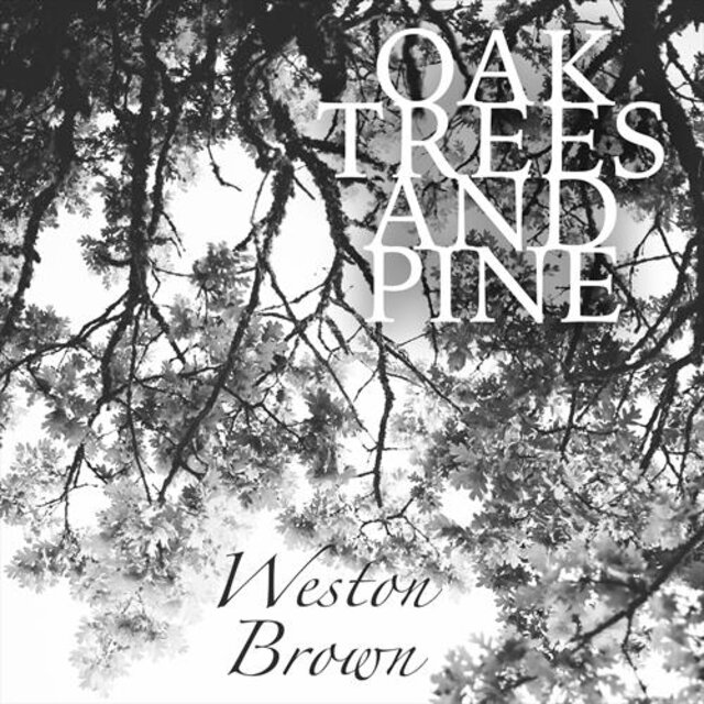 Oak Trees and Pine
