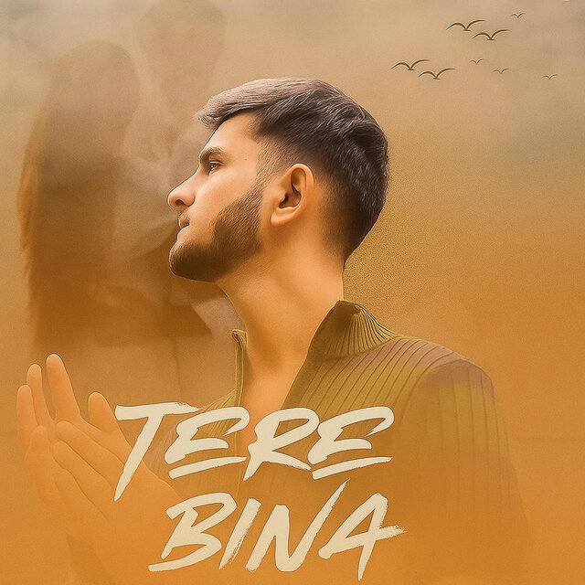 Tere Bina