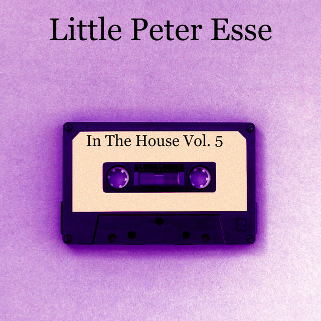 In The House Vol.5