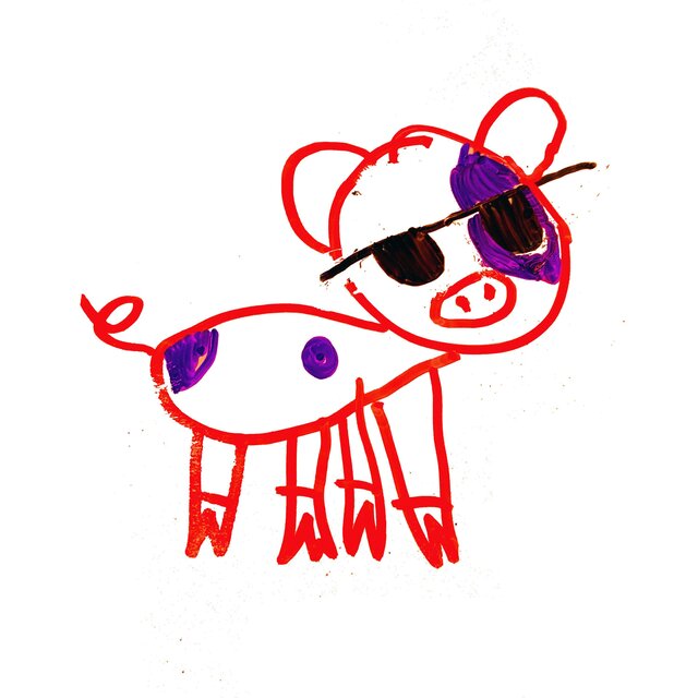 Cool Pig