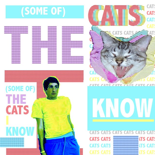 Some of the Cats I Know