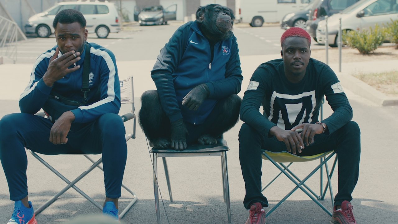 Fuck mes rêves (feat. N.O.S) (Clip officiel)