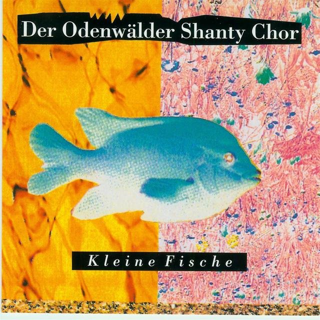 Kleine Fische